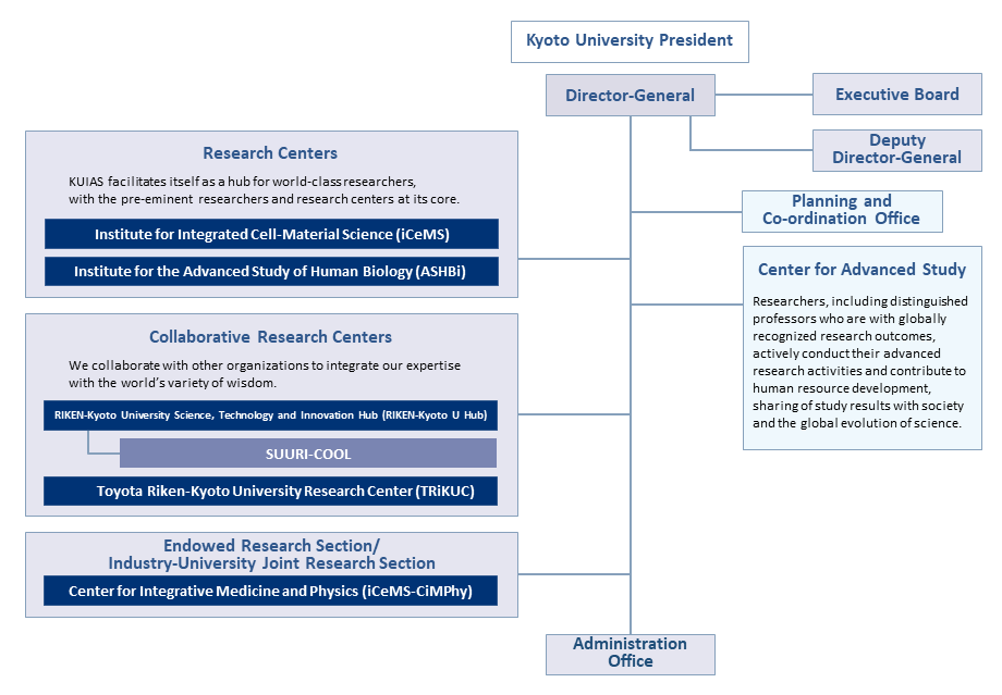 organization chart