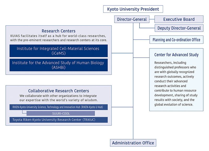 organization chart